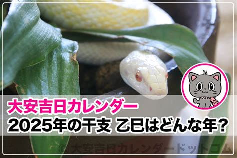 乙巳年2025|2025年は「乙巳（きのとみ）」 の年！どんな1年間になる？開運。